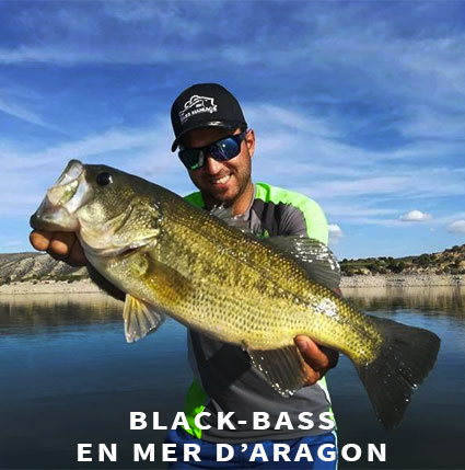 Guide de pêche au black bass en mer d'Aragon